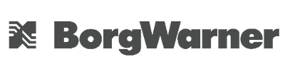 BorgWarner Logo