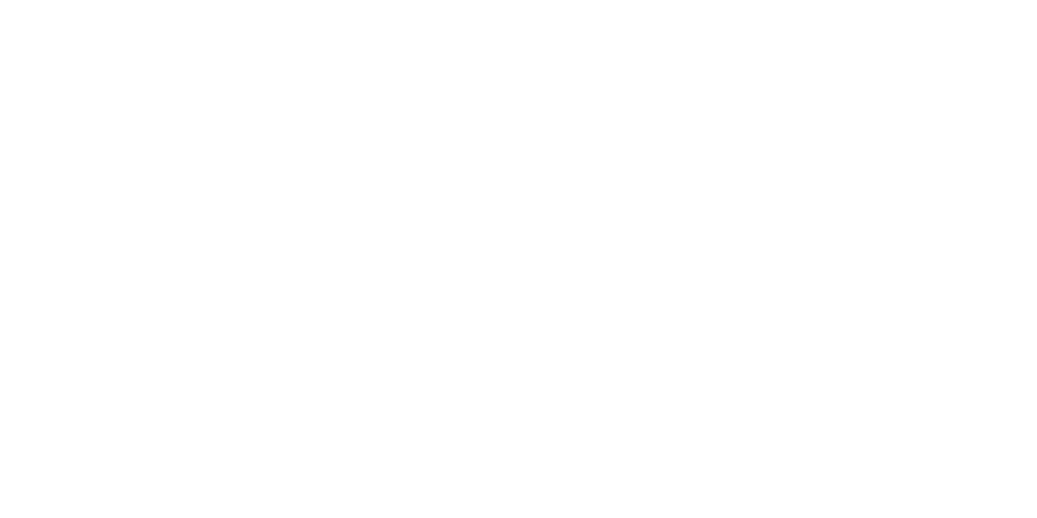 Google partner Logo in white