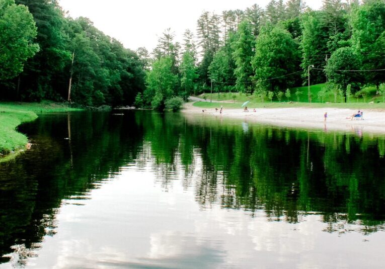 Steel Creek Park Case study